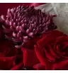 Первая любовь 1