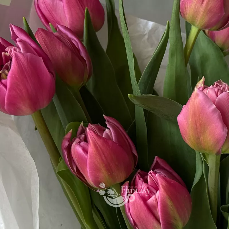 Букет первых лучей  2