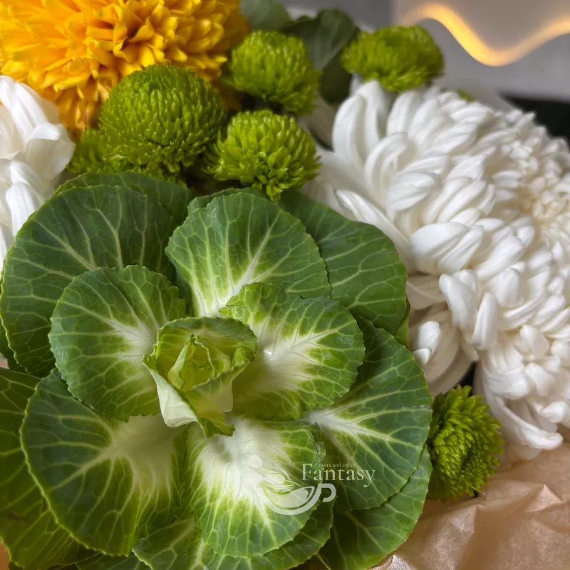 Осенняя свежесть  2