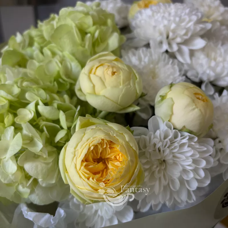 Нежный сад 3