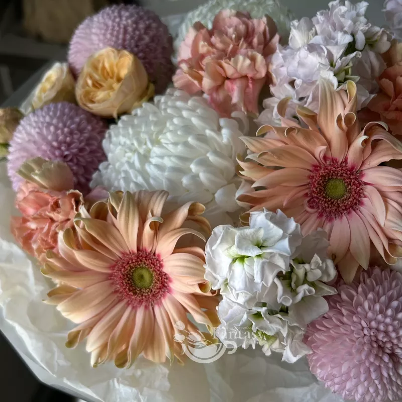 Легкость чувств 1