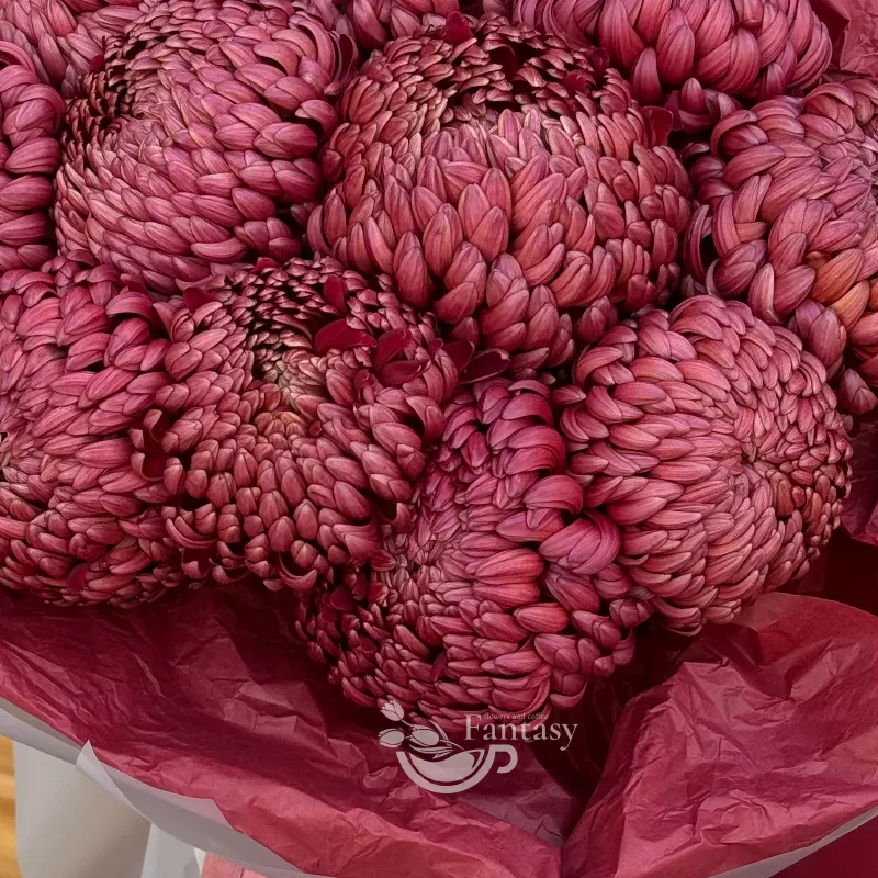 С любовью к маме  2