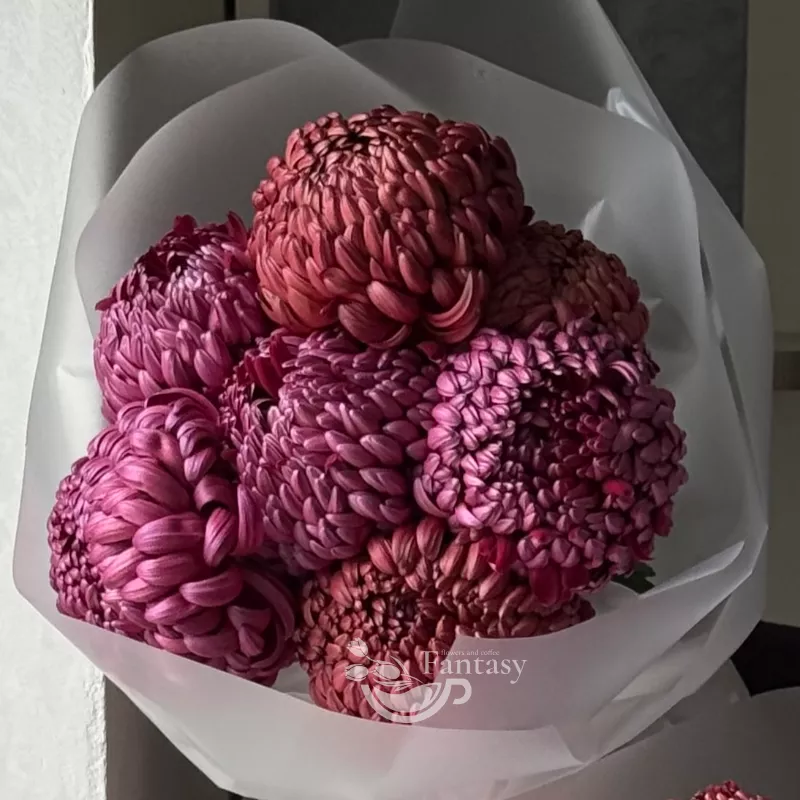 Мамины глаза 