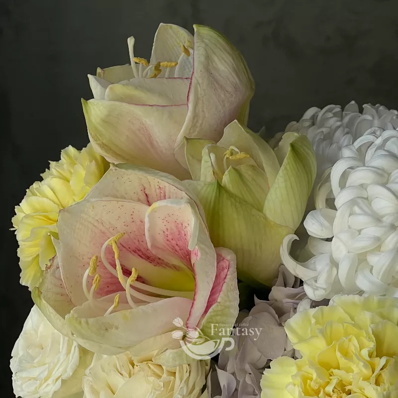 Лучик света 3