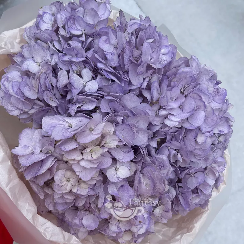 Сиреневое облако 1