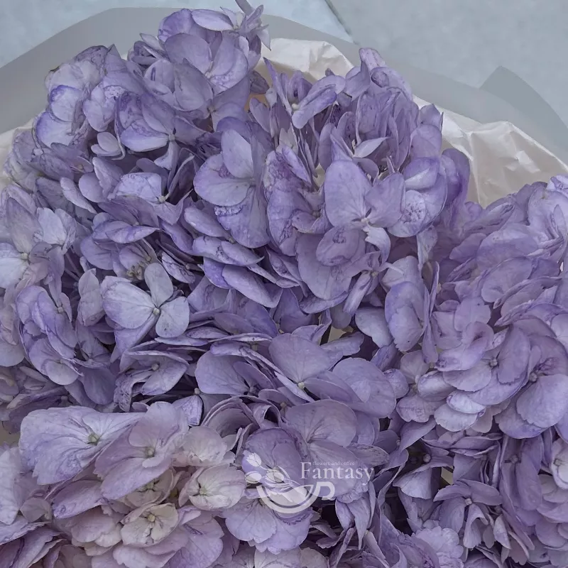 Сиреневое облако 2