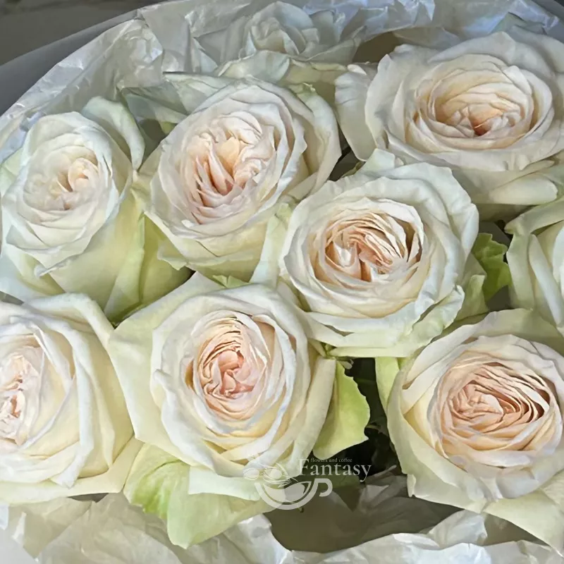 Ароматное моно  2