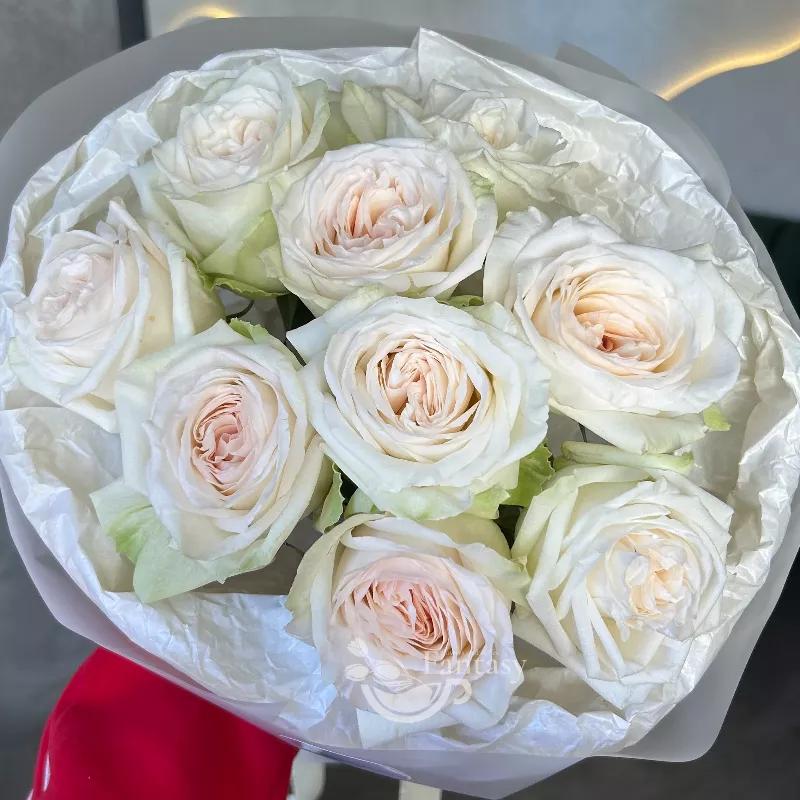 Ароматное моно  1