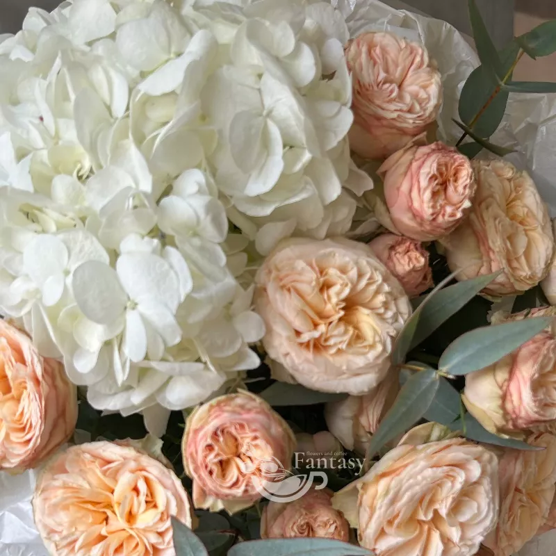 Нежное дуо 2