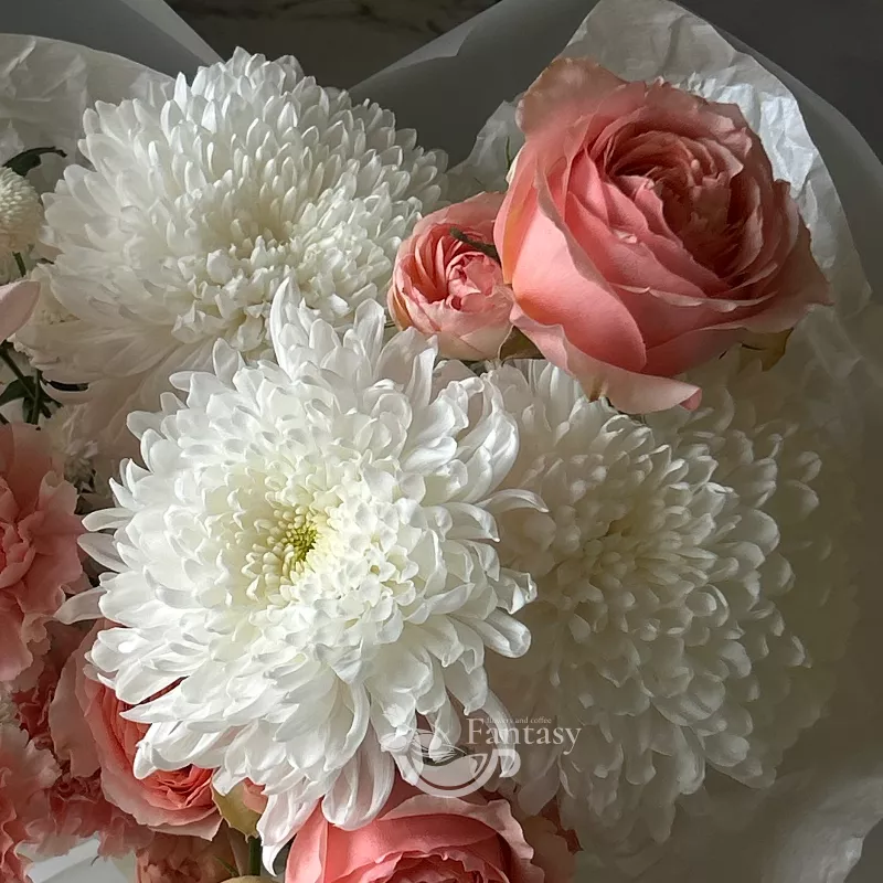 Лучистая красота  2