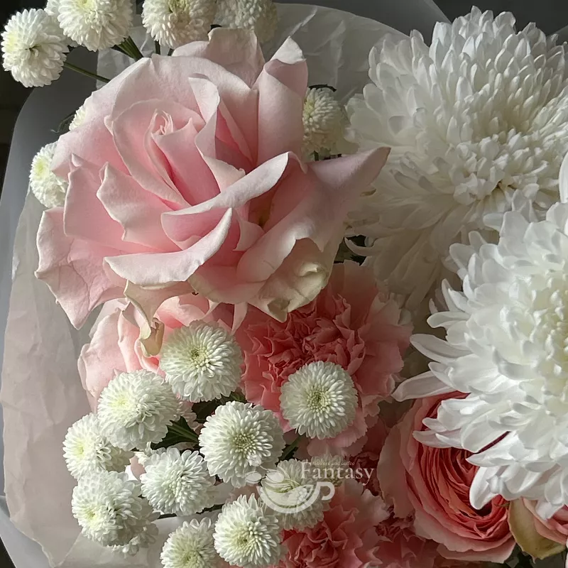 Лучистая красота  3