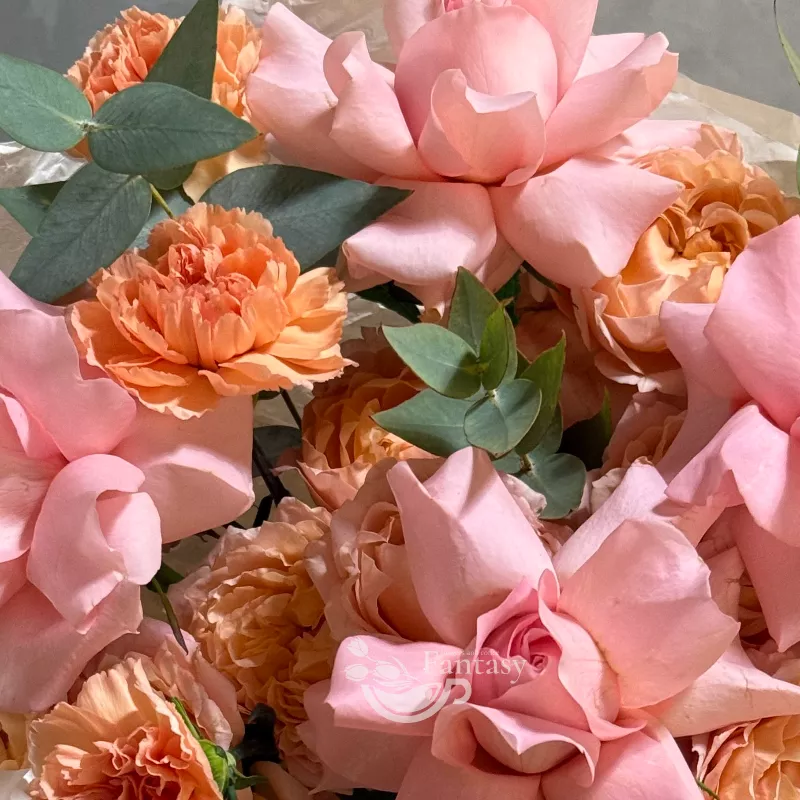 Ромео и Джульетта  3