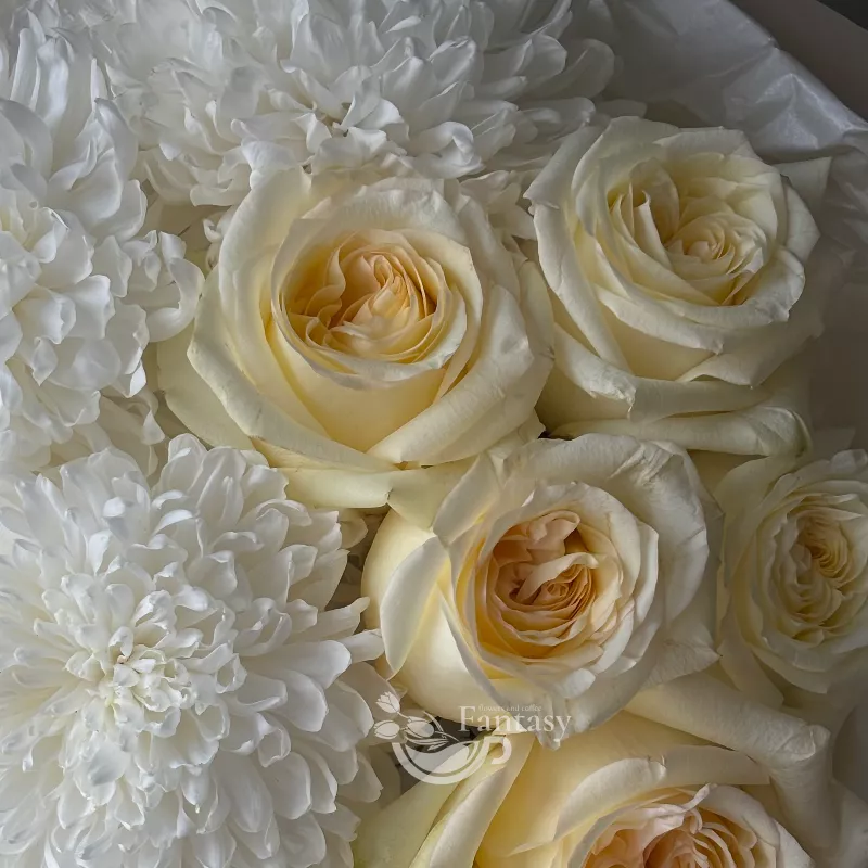 Светлые чувства  3