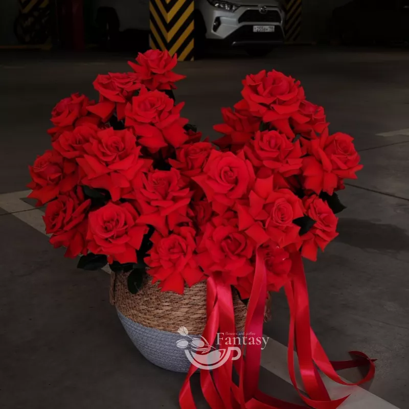 ВАУ корзина Для Неё